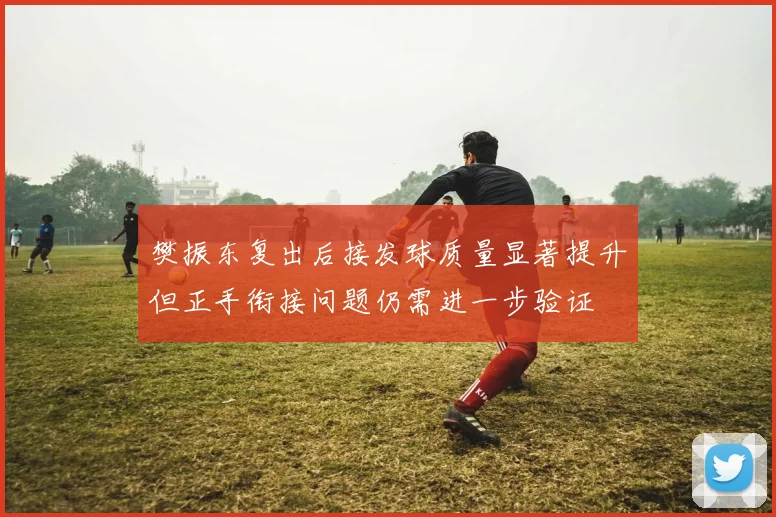 樊振东复出后接发球质量显著提升但正手衔接问题仍需进一步验证